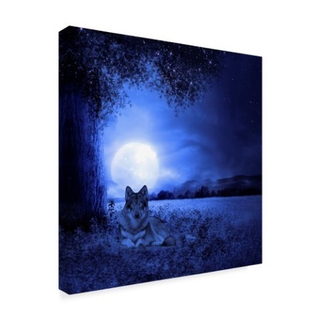 Trademark Fine Art Ata Alishahi 'Moon Night And Wolf' Canvas Art, 14x14 ALI22423-C1414GG